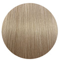Luxury Seamless Weft Extensions I Signature Shade Champagne Ash 50g