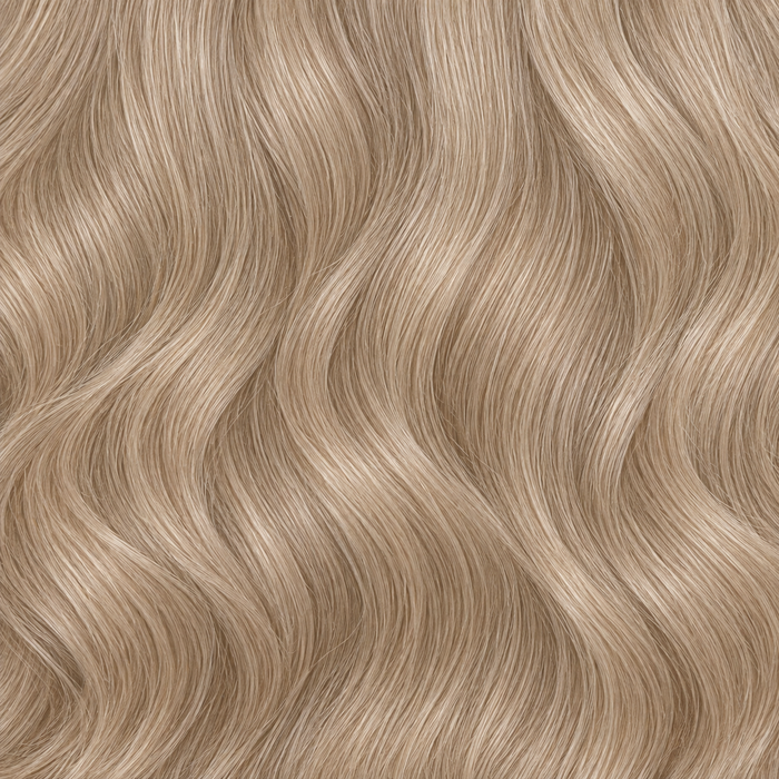 CHAMPAGNE ASH