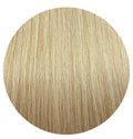 Premium Tape Extensions I Shade Sunlit Silk 100g