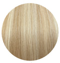 Premium Butterfly Extensions I Golden Ash Veil 100g