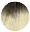 Premium Butterfly Extensions I Shade Ash Frost 100g