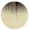 Premium Butterfly Extensions I Shade Ash Veil 100g